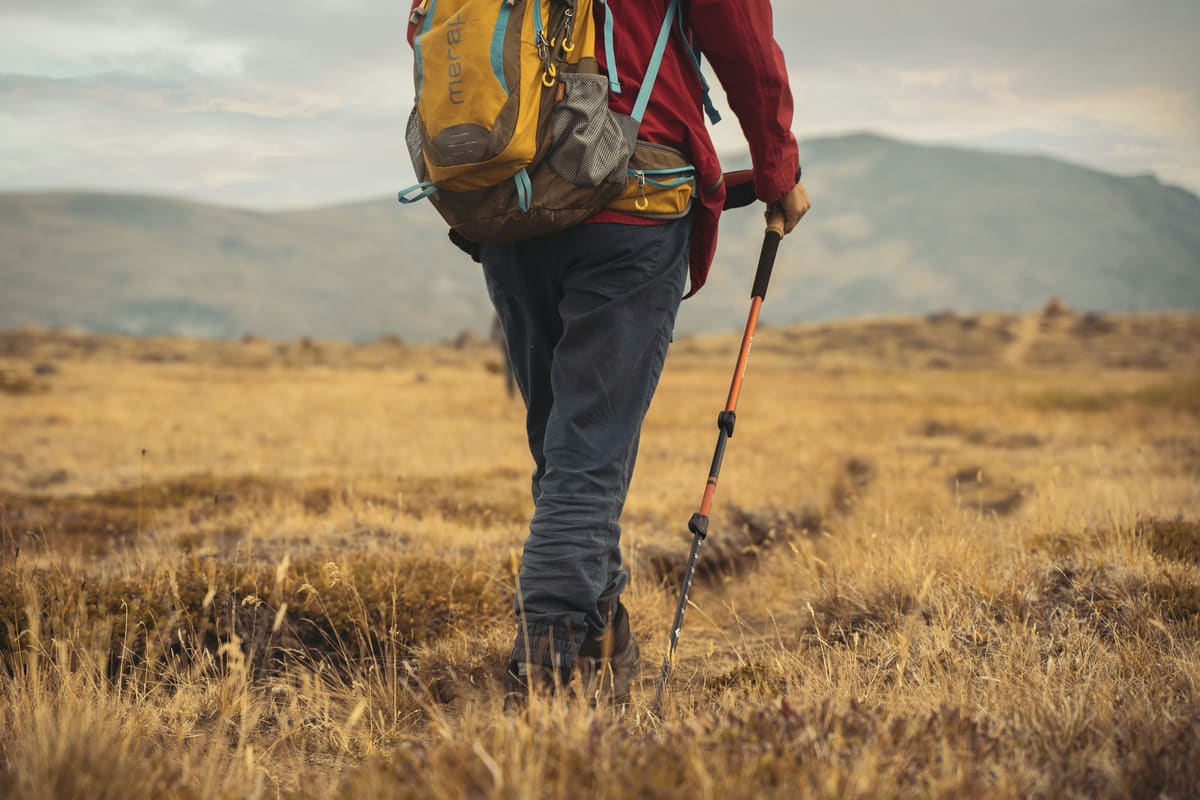 Wędrowiec z kijkami trekkingowymi na szlaku górskim